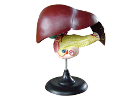 SD-093 33216ʮ֬cKģ